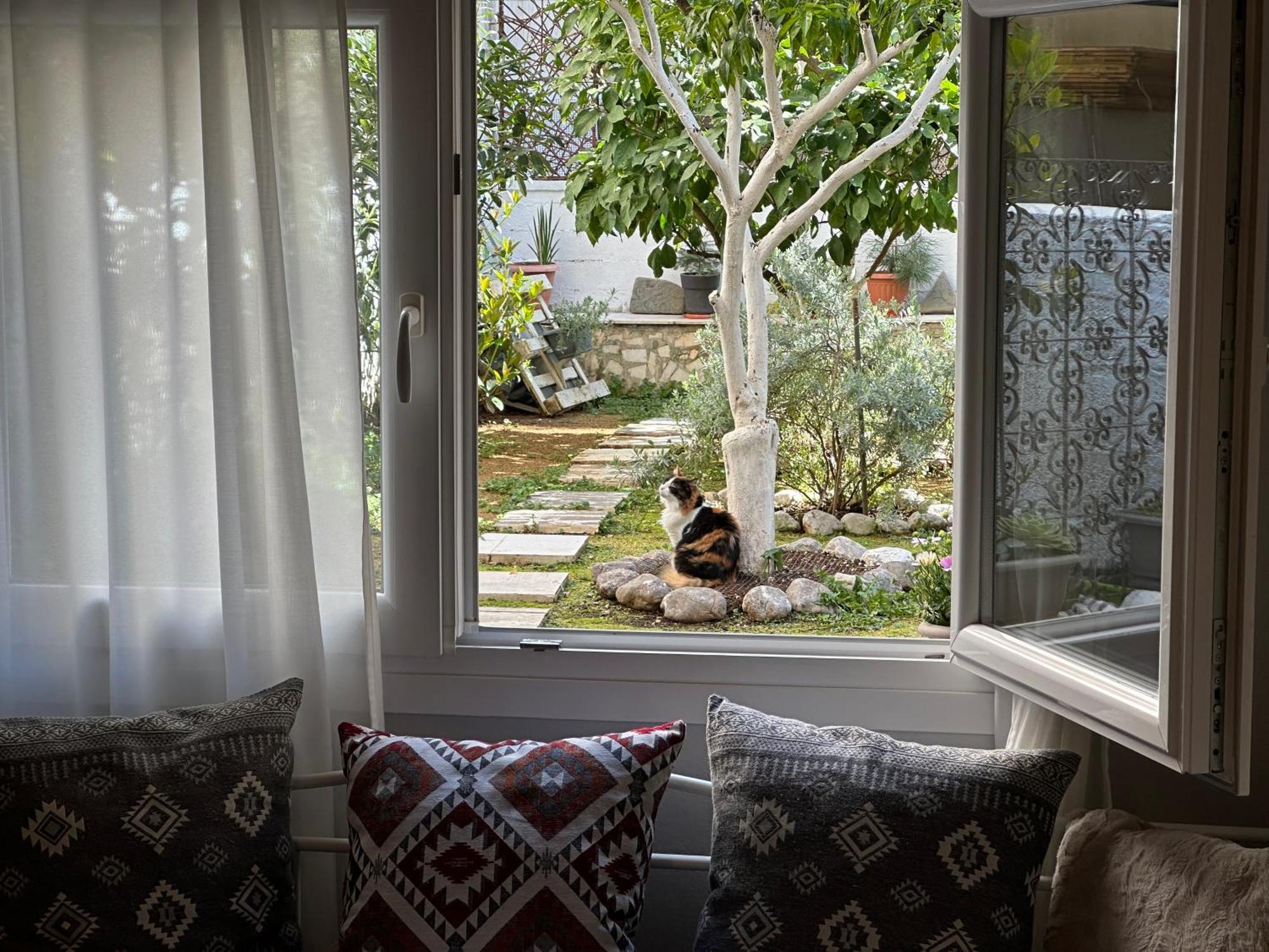 Νόστος Στο Κέντρο Των Ιωαννίνων Apartment Ioannina Bagian luar foto
